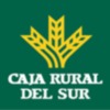 Caja Rural del Sur apoya a las cooperativas, pymes y autónomos andaluces afectados por el fuerte temporal con distintas líneas especiales de financiac