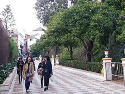 Turismo, agua y vegetación