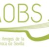 Beca de estudios para la especialización en música antigua 2019 AAOBS-FEMÀS