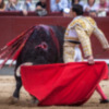 Gran entrada el día del Patrón con los toros de Puerto de San Lorenzo.