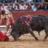 Luis David y Jesús Enrique Colombo dejan lo más destacado de la Corrida de las 6 Naciones