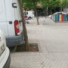 El mal diseño de los alcorques permite que los vehículos puedan causar daños al árbol en la vía pública.
