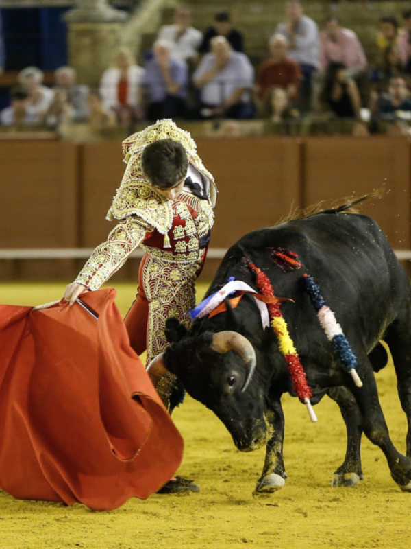 Un torero en traje de capea enfrenta a un toro negro en una corrida de toros en España.