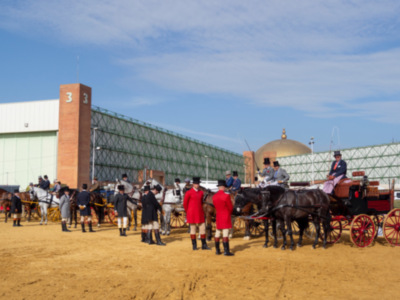Sicab acoge con éxito el IV Concurso de Enganches de Tradición
