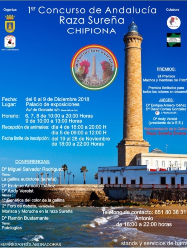 1er Concurso de Andalucía Raza Sureña. Organizado por la Asociación Avícola, en el Palacio de Exposiciones de Chipiona. Del 6 al 8 de diciembre, 9:00 a 20:00 horas. Premios limitados en desarrollo, con reconocimientos de la E.E. y conferencias genéticas.