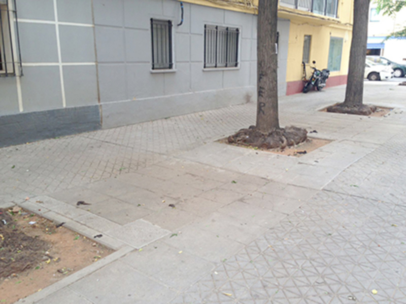 Un árbol sin hojas en un pequeño talud junto a una calle con adoquines, frente a una fachada de dos pisos con ventanas y un toldo amarillo.