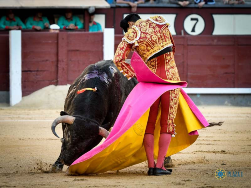 Torero in traditional attire performing a bullfighting move in a sandy arena.