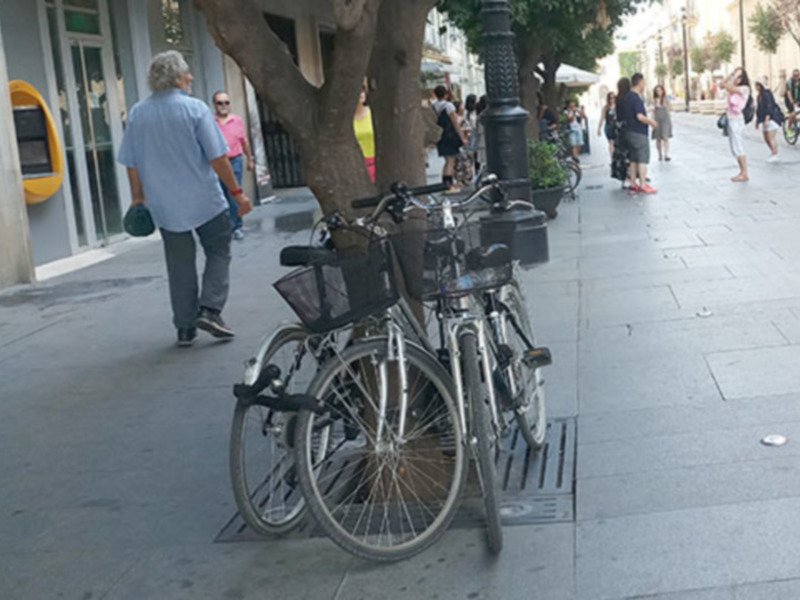 Urge una protección “real” del arbolado.﻿ en Sevilla