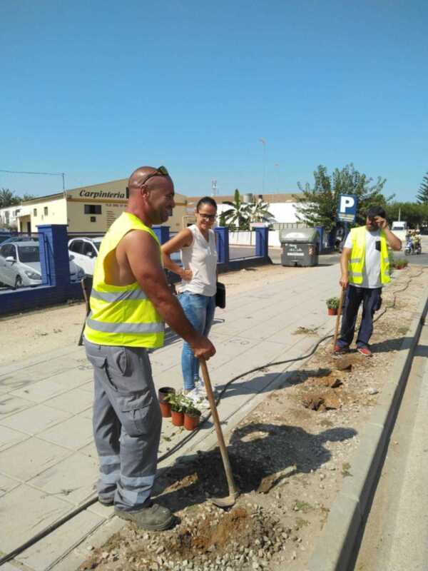 Trabajadores en un proyecto de construcción, con herramientas y plantas.
