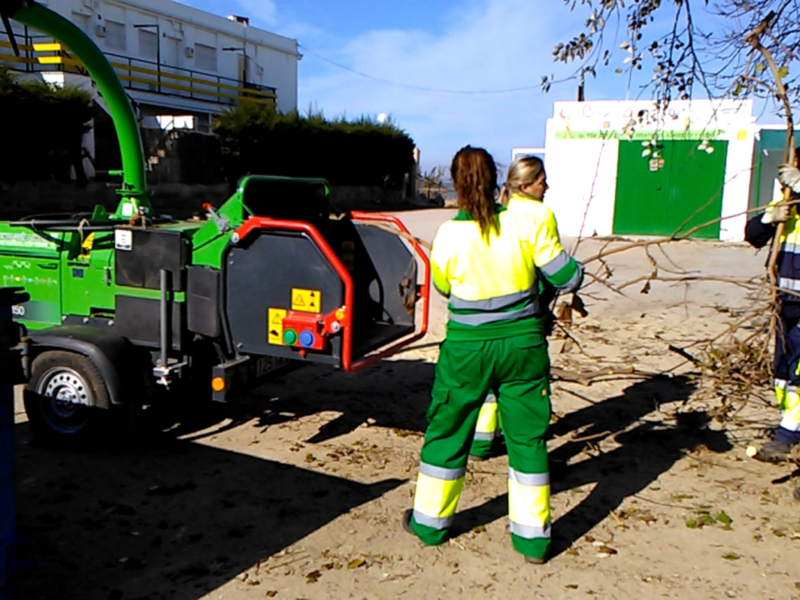 Trabajadores en uniforme amarillo y verde están cortando ramas de un árbol. Un camión de recogida de residuos verde y gris está al lado, con una máquina para recoger ramas. La escena se desarrolla en un entorno urbano con edificios y cielo azul.