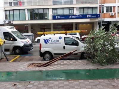 Vehículos de servicio en una calle con edificios comerciales.
