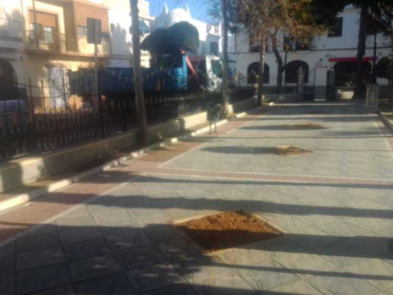 Pavimentación de una calle con adoquines de diferentes colores y un árbol en el centro. En el fondo, se pueden ver edificios y una valla metálica.
