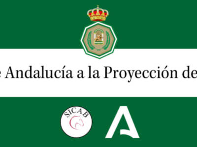 Medalla de Andalucía 2020 para SICAB en sus 30 años de trayectoria