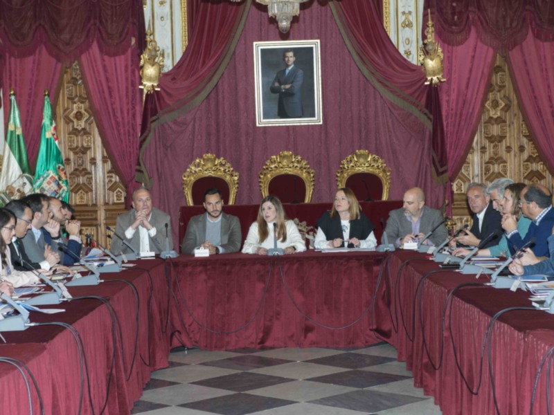 Asamblea de Andalucía en el Palacio de San Telmo, Sevilla.