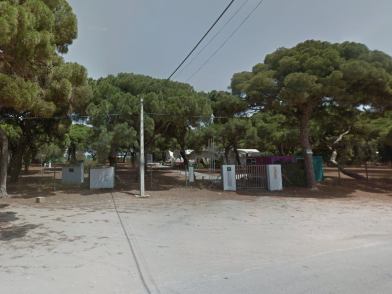 Un parque con árboles altos y verdes, una carretera y varios carteles informativos.