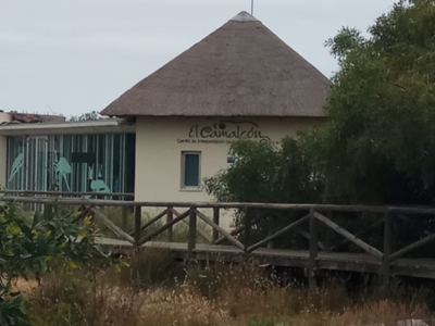 Tano Guzmán se congratula por la segunda fase del proyecto de recuperación del Centro de Interpretación del Camaleón 