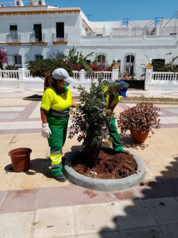 Dos personas en uniforme de jardinería están plantando un árbol en una maceta. El fondo muestra una casa blanca con balcones y ventanas, rodeada de flores y plantas. La imagen transmite un ambiente de cuidado del medio ambiente y mantenimiento de espacios verdes.