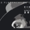 El flamenco seguirá siendo protagonista en el mes de septiembre chipionero gracias a un ciclo promovido por la Junta de Andalucía