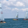 Siete regatistas del CAND Chipiona participan hasta el próximo viernes en el Campeonato de España de Patín a vela