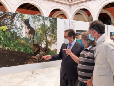 Inauguración Exposición World Press Photo 2020 en la Fundación Cajasol