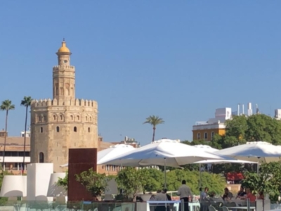 El Ilustre Colegio de Abogados de Sevilla se adhiere al Registro de Impagados Judiciales