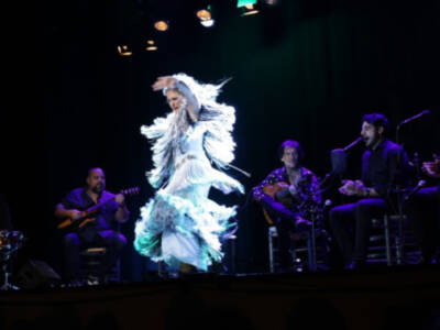 Canal Sur conmemora el X Aniversario del Flamenco como Patrimonio de la Humanidad
