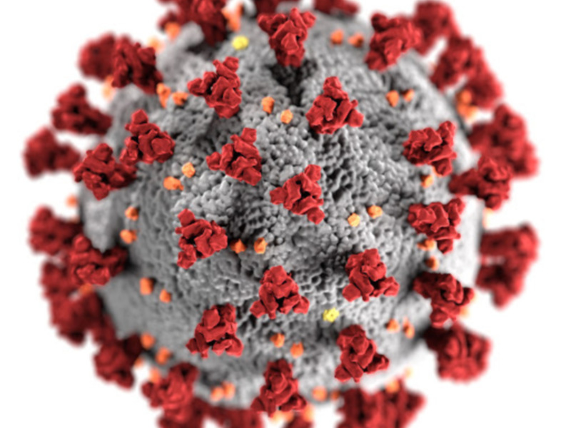 Representación artística de un virus, enfatizando su estructura esférica con protuberancias rojas y detalles en gris.