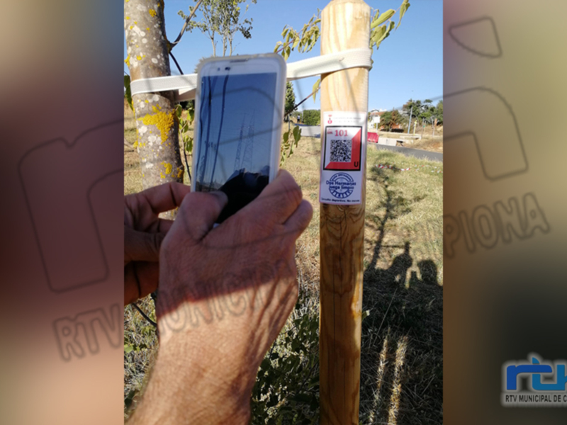 Un hombre toma una foto de un poste de madera con un etiquetado que indica '101'. La imagen muestra un entorno natural con hierba y árboles en el fondo.