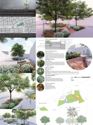 “Los sevillanos José Rodríguez y Gracia de la Lastra, ganadores del Primer Concurso Internacional de Jardinería y Paisajismo “Villa Botánica de Cañete