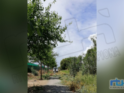 Tano Guzmán anuncia que la Delegación de Medio Ambiente está ejecutando trabajos de mantenimiento de la Vía Verde de Chipiona