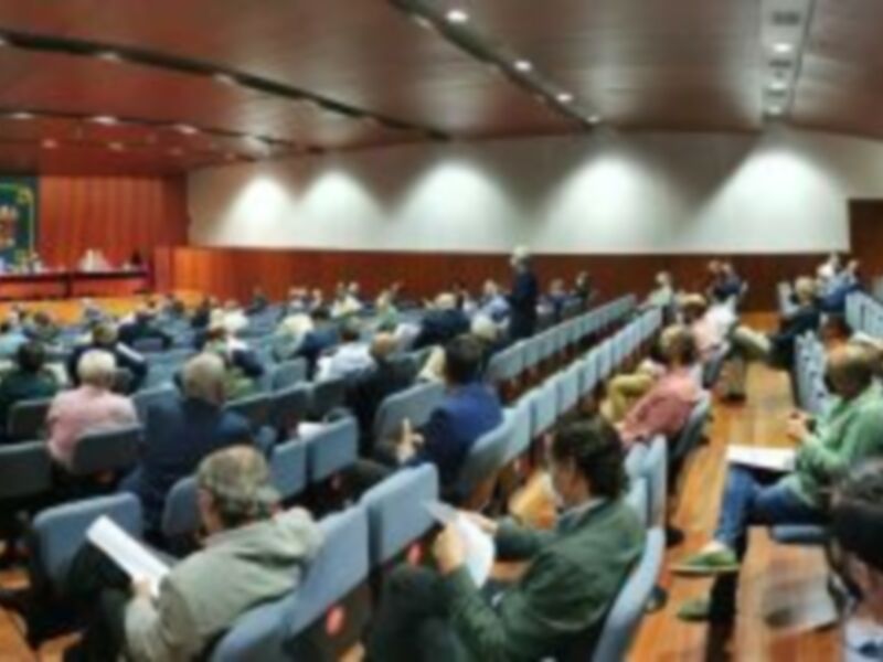 Una sala de conferencias con una pantalla proyectora y asientos para 50 personas. La pared tiene un escudo o emblema en la esquina superior izquierda, y el suelo es de madera. La iluminación es blanca y la atmósfera parece ser formal o académica.