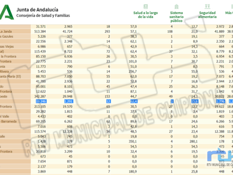 Gráfico de datos sobre salud y seguridad en Andalucía, con información detallada por comarcas.
