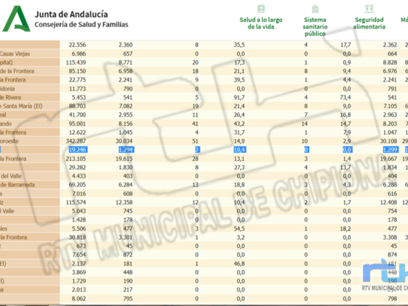 Gráfico de datos sobre salud, sistema público y seguridad en Andalucía.