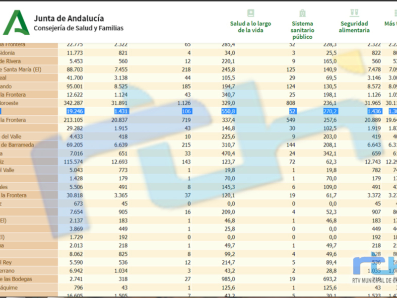 Imagen de una tabla con datos estadísticos sobre salud y seguridad en Andalucía, incluyendo indicadores como mortalidad infantil, tasa de mortalidad materna y tasa de mortalidad neonatal.