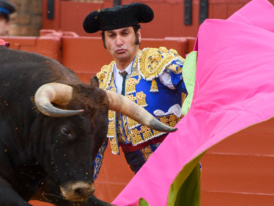 Toros de Zalduendo para Canales, Morante y Cortés en Villaluenga del Rosario, ante las cámaras de Canal Sur Televisión