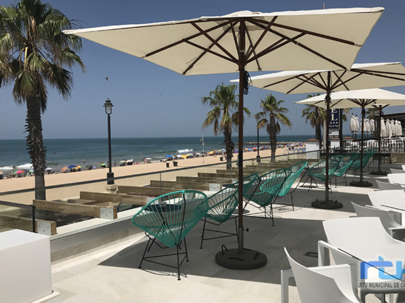 Playa con palmeras, sillas de playa y sombrillas. Mar tranquilo y cielo azul.