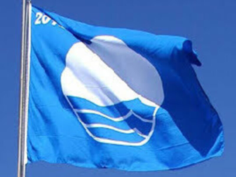 Bandera azul con un símbolo blanco y azul en el centro, ondeando en el viento contra un cielo azul claro.