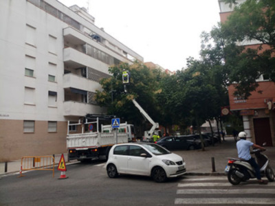 Problemática del arbolado en Sevilla y su incidencia en la iluminación viaria.