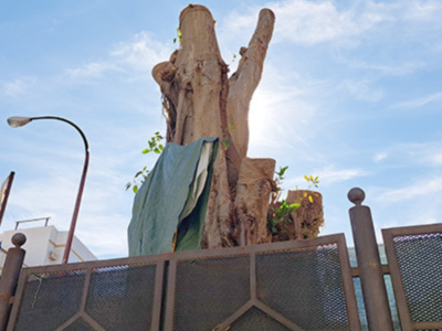 Y se produjo el milagro.....