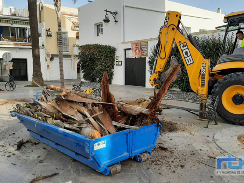 Excavadora JCB retirando residuos de un árbol caído en una calle urbana.