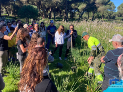 Las Delegaciones de Educación y Medio Ambiente, colectivos ecologistas y alumnado de Chipiona inician los trabajos de repoblación en el pinar