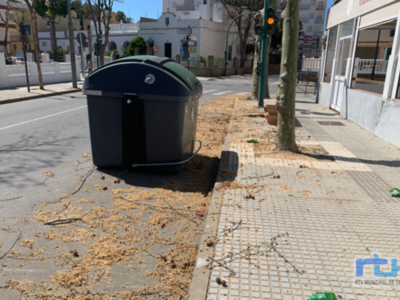 El PP de Chipiona denuncia molestias innecesarias a vecinos y daño a arbolado y aves por una poda tardía y mal planificada