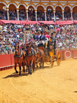 XXXVII Exhibición de Enganches de Sevilla 2023