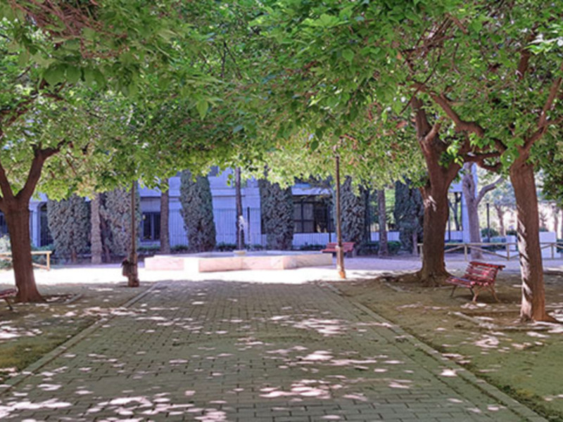 Parque con bancos y árboles en el centro, iluminación y sombra en el suelo.