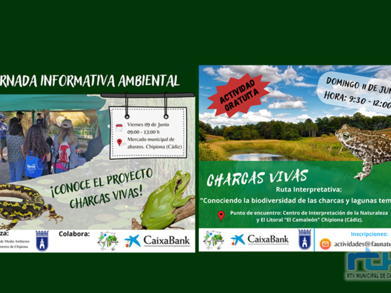 Jornada informativa ambiental en Chipiona, organizada por el Ayuntamiento de Chipiona y CaixaBank. Actividad gratuita en el Mercado Municipal, con entrada a las 10:30 y salida a las 12:00. Ruta interpretativa de charcas vivas en la Naturaleza Temporal, con conocimiento de biodiversidad.