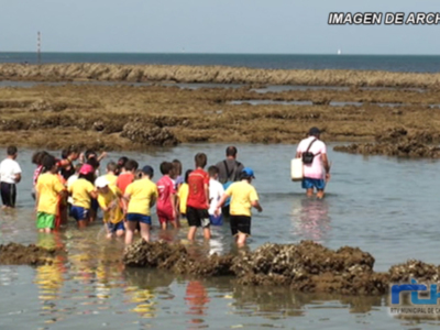 Jarife vuelve a desarrollar este año su programa de visitas a los corrales de pesca para los escolares de Chipiona