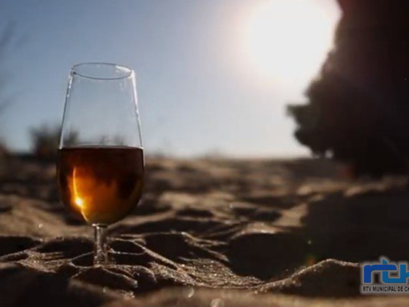 Un vaso de vino se encuentra en el suelo, con un fondo de arena y un cielo azul claro. La imagen sugiere una atmósfera tranquila y relajada, posiblemente en una playa o en un entorno natural.
