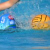 El Club Waterpolo Dos Hermanas PQS confirma su periplo en las ligas nacionales 2023/2024