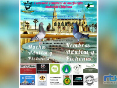 Chipiona será escenario del 27 de enero al 2 de febrero de un concurso comarcal de colombicultura 