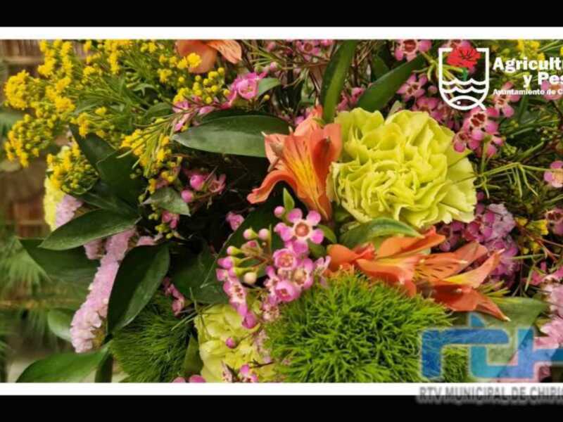 Un hermoso ramo de flores, incluyendo amarillas, rosadas y verdes, con un logotipo de Agricultura y Pesca Municipal de Chillán en la parte superior derecha.